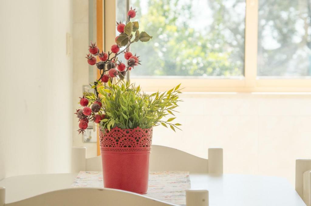 Terrace Porto Downtown Apartment Bagian luar foto