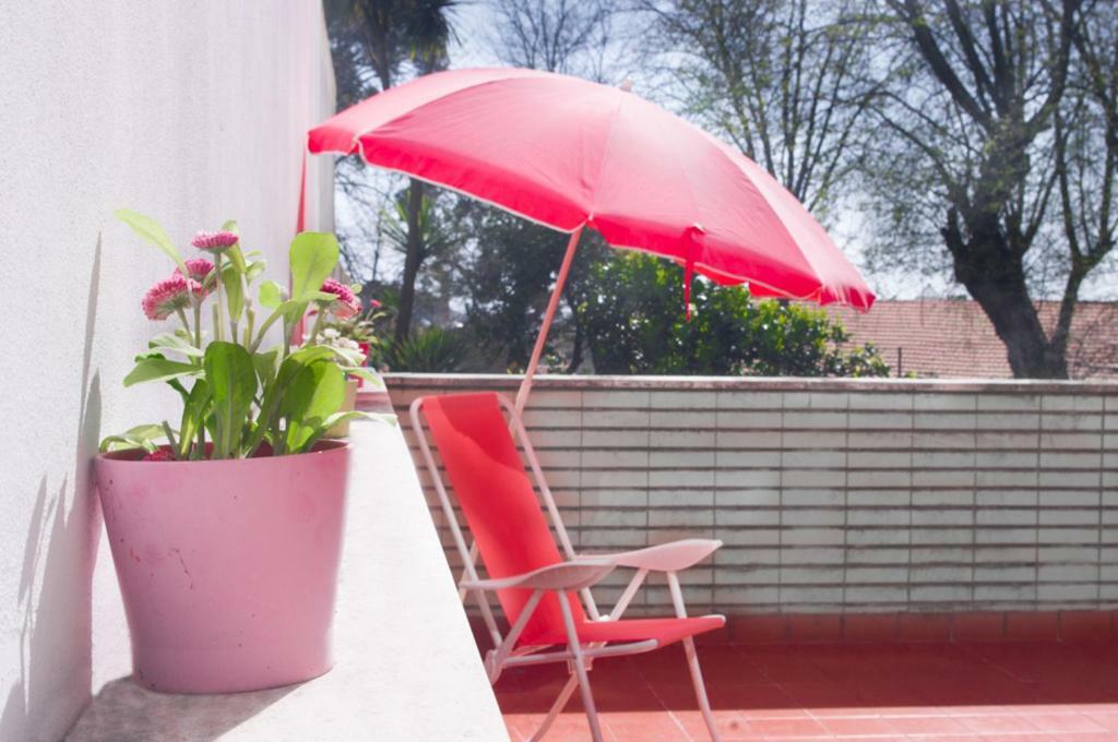 Terrace Porto Downtown Apartment Bagian luar foto